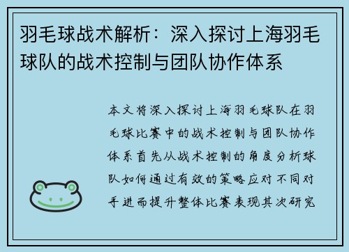 羽毛球战术解析：深入探讨上海羽毛球队的战术控制与团队协作体系