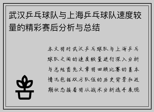 武汉乒乓球队与上海乒乓球队速度较量的精彩赛后分析与总结